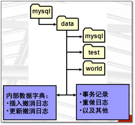 基于MySQL的存储引擎与日志说明(全面讲解)