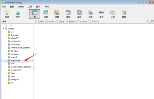 navicat 8 for mysql建库的方法