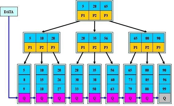 浅谈MySQL的B树索引与索引优化小结