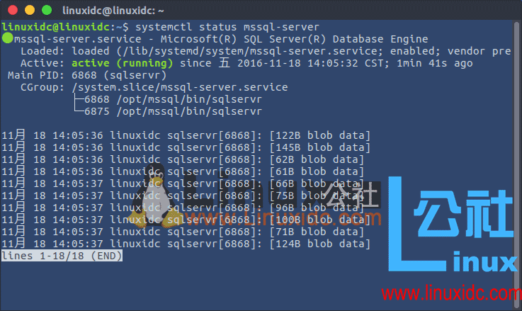 Ubuntu 下安装SQL Server教程